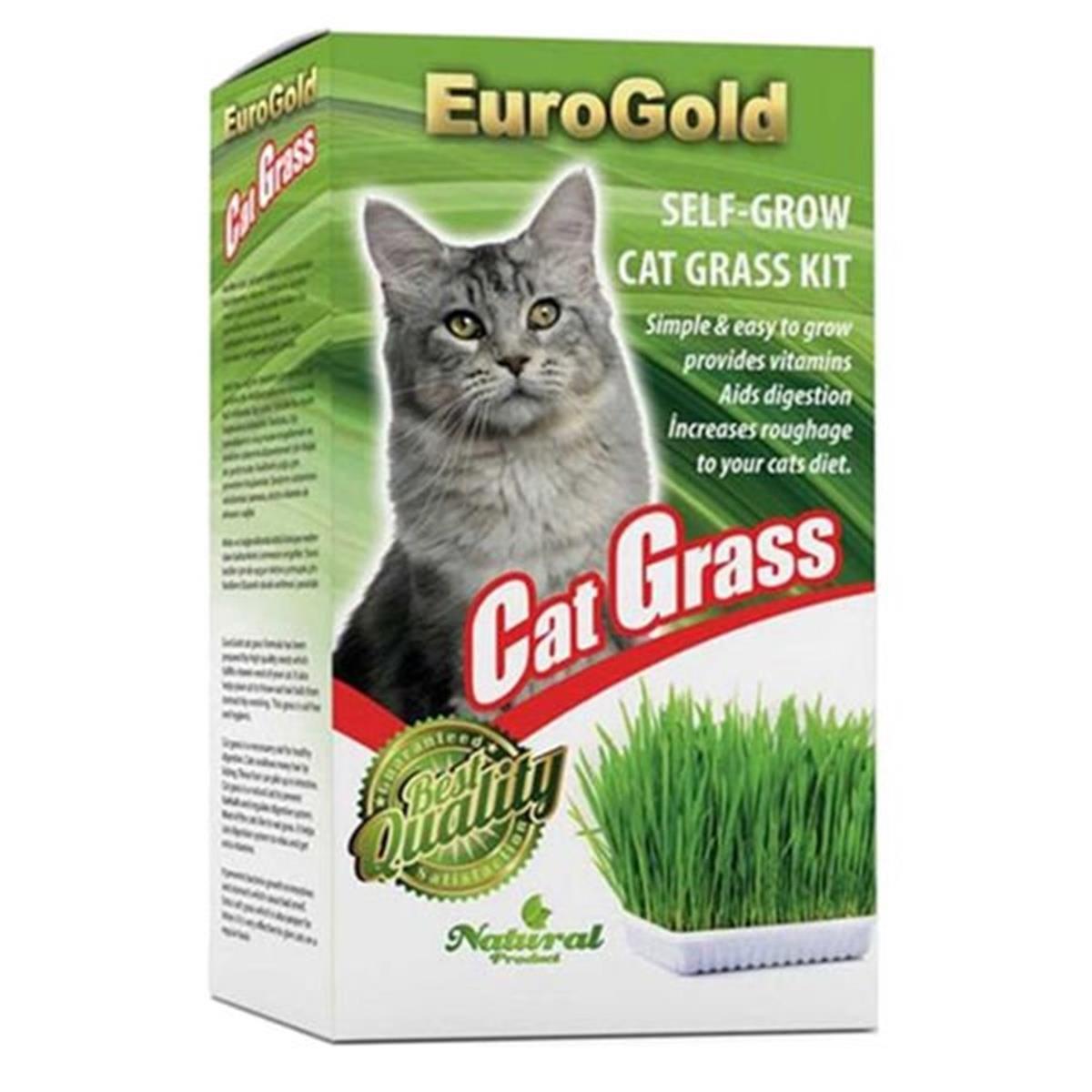 Euro Gold Kedi Çimi