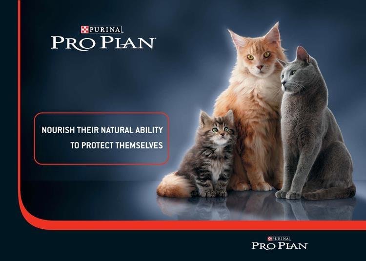 Pro Plan Kitten Tavuklu Yavru Kedi Maması 1.5 Kg | 2 Adet Kitten Konserve ve Ölçü Kabı Hediyeli