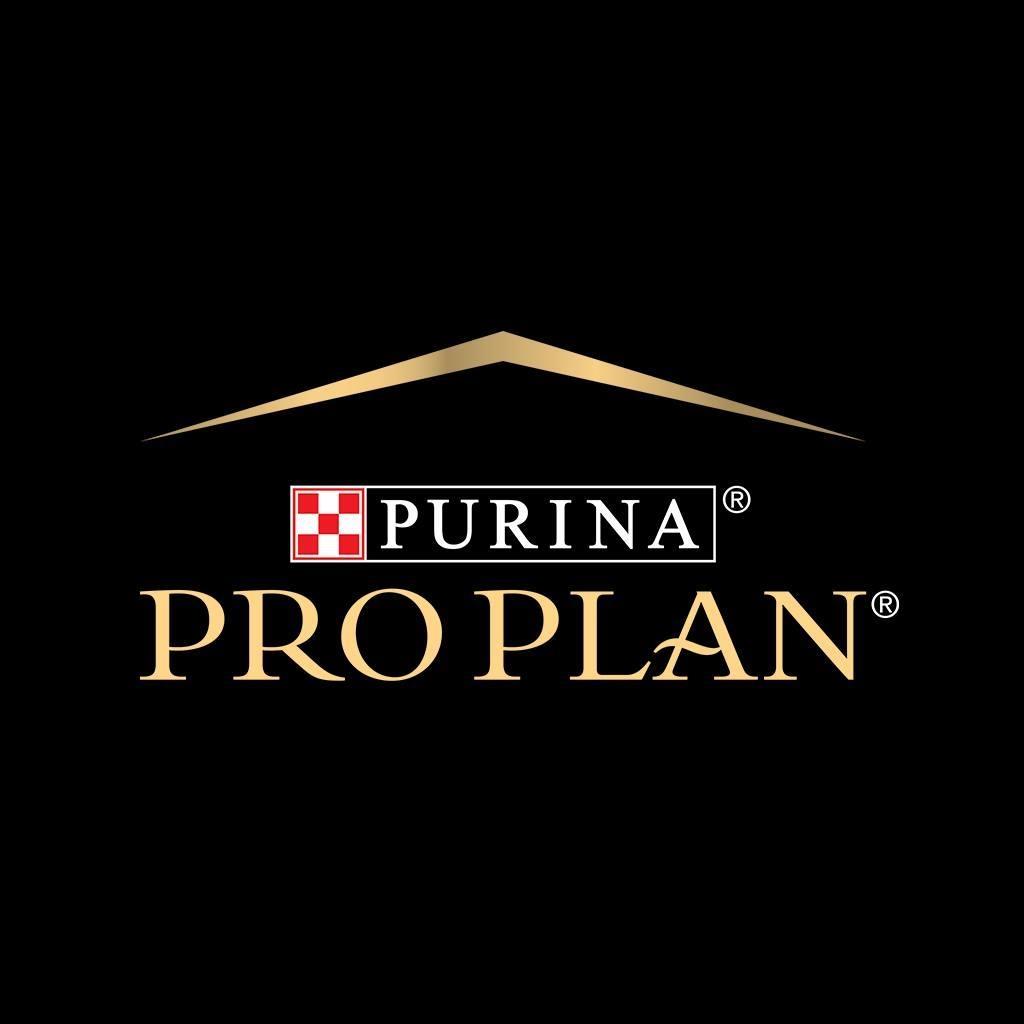 Pro Plan Kitten Tavuklu Yavru Kedi Maması 1.5 Kg | 2 Adet Kitten Konserve ve Ölçü Kabı Hediyeli