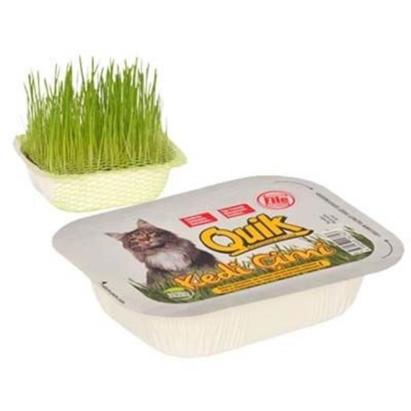 Quik Kedi Ve Kemirgen Çimi