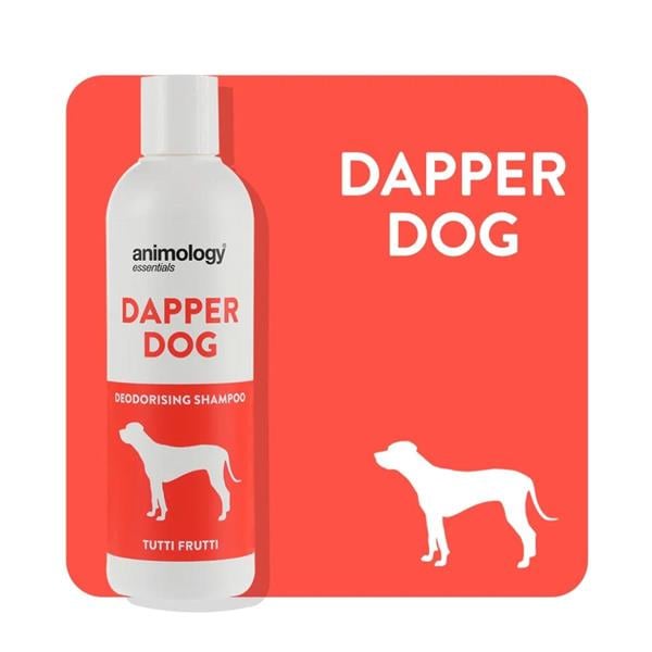 AnimologyAnimology Essentials Dapper Dog Shampoo Köpek Şampuanı 250 ML