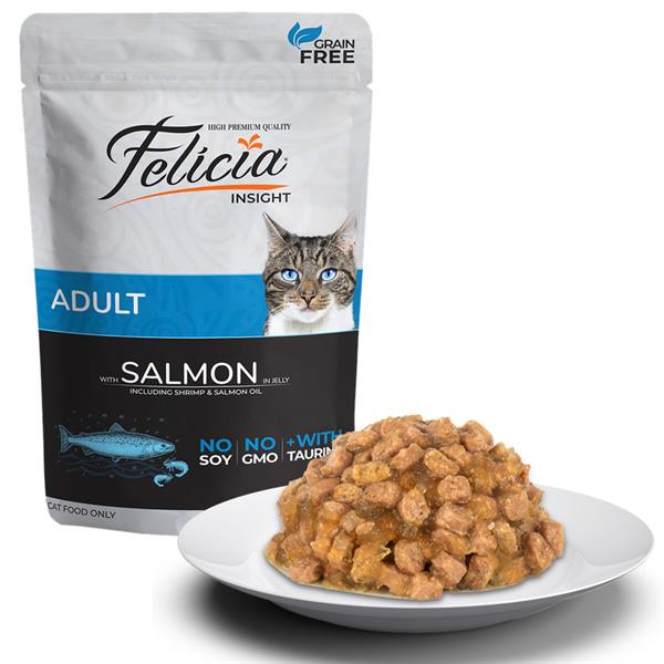 Felicia Yetişkin Somonlu Yaş Kedi Maması 85 Gr.