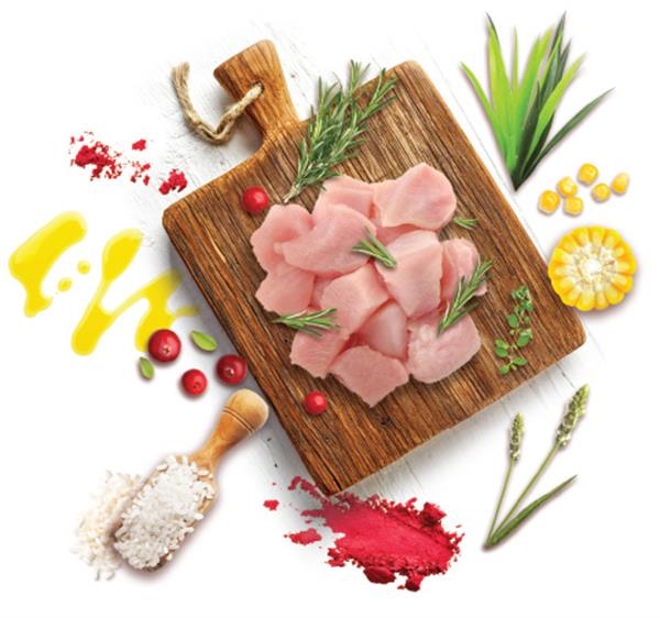 Molly Tavuklu Yavru Kedi Maması 15 Kg.