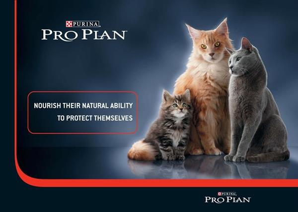 Pro Plan Kitten Tavuklu Yavru Kedi Maması 1.5 Kg | 2 Adet Kitten Konserve ve Ölçü Kabı Hediyeli