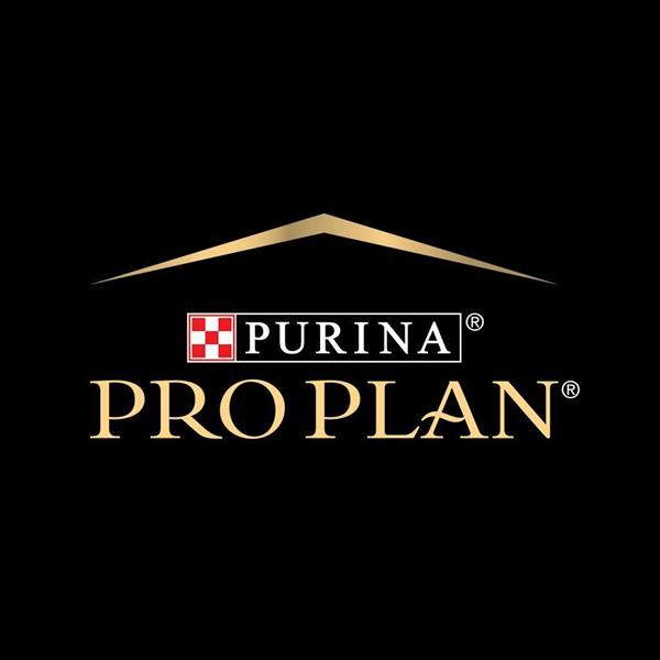 Pro Plan Kitten Tavuklu Yavru Kedi Maması 1.5 Kg | 2 Adet Kitten Konserve ve Ölçü Kabı Hediyeli