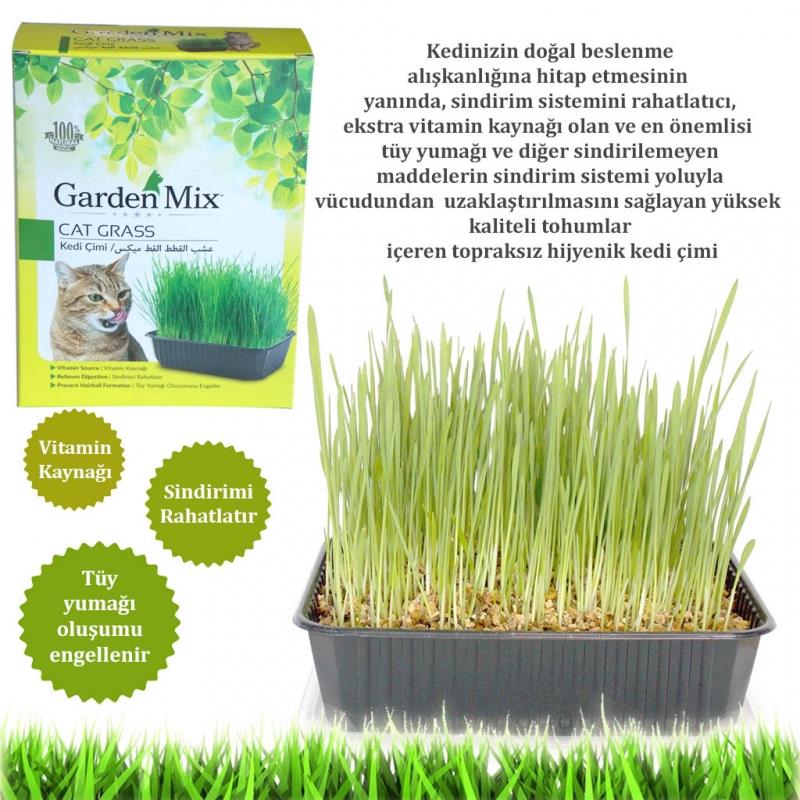 GARDEN MİXGarden Mix Kedi Çimi