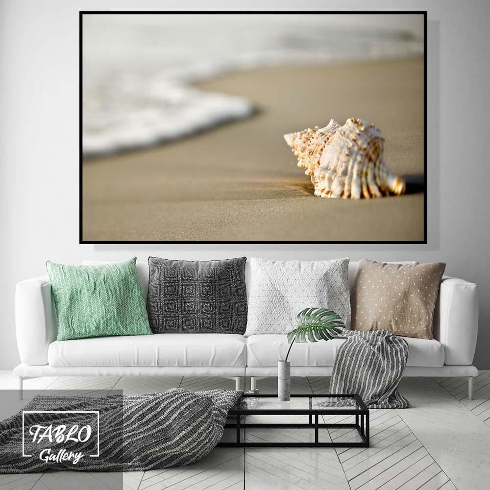Deniz Kabuğu Kanvas Tablo