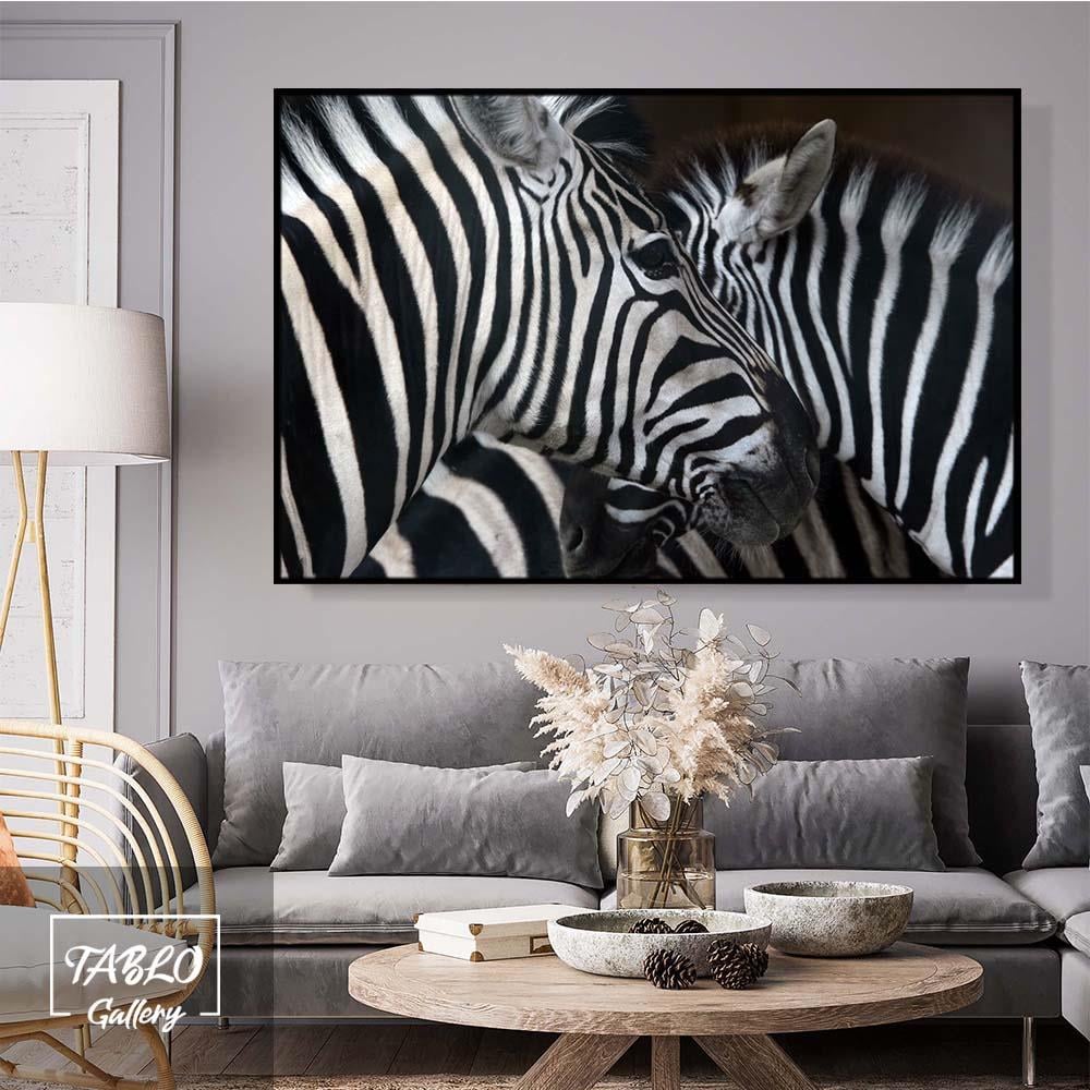 Yan Yana Zebra Figürü Kanvas Tablo