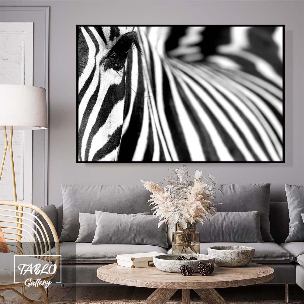 Zebra Figürü Desenli Kanvas Tablo