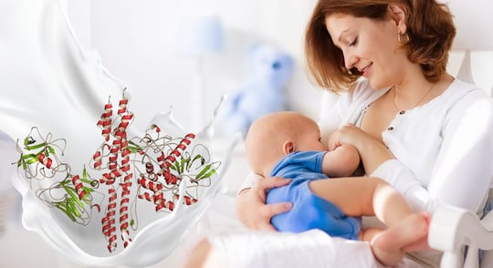 En İyi Laktoferrin Kaynakları! Sağlıklı Bir Yaşamın Sırrı