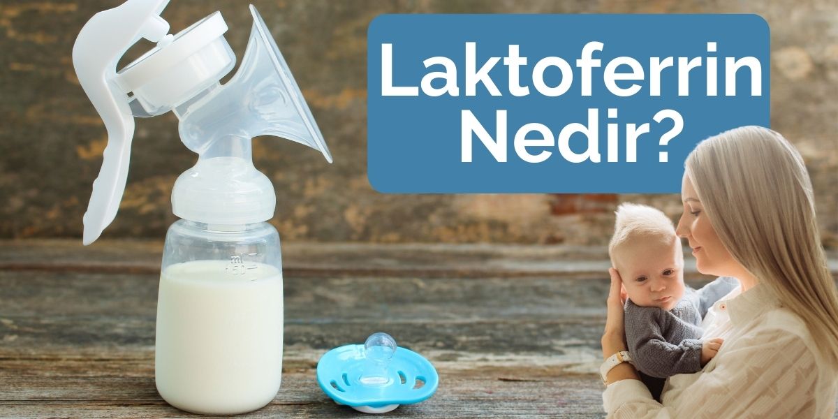 İnferrin (Laktoferrin) Nedir? İnferrinin Faydaları Nelerdir?