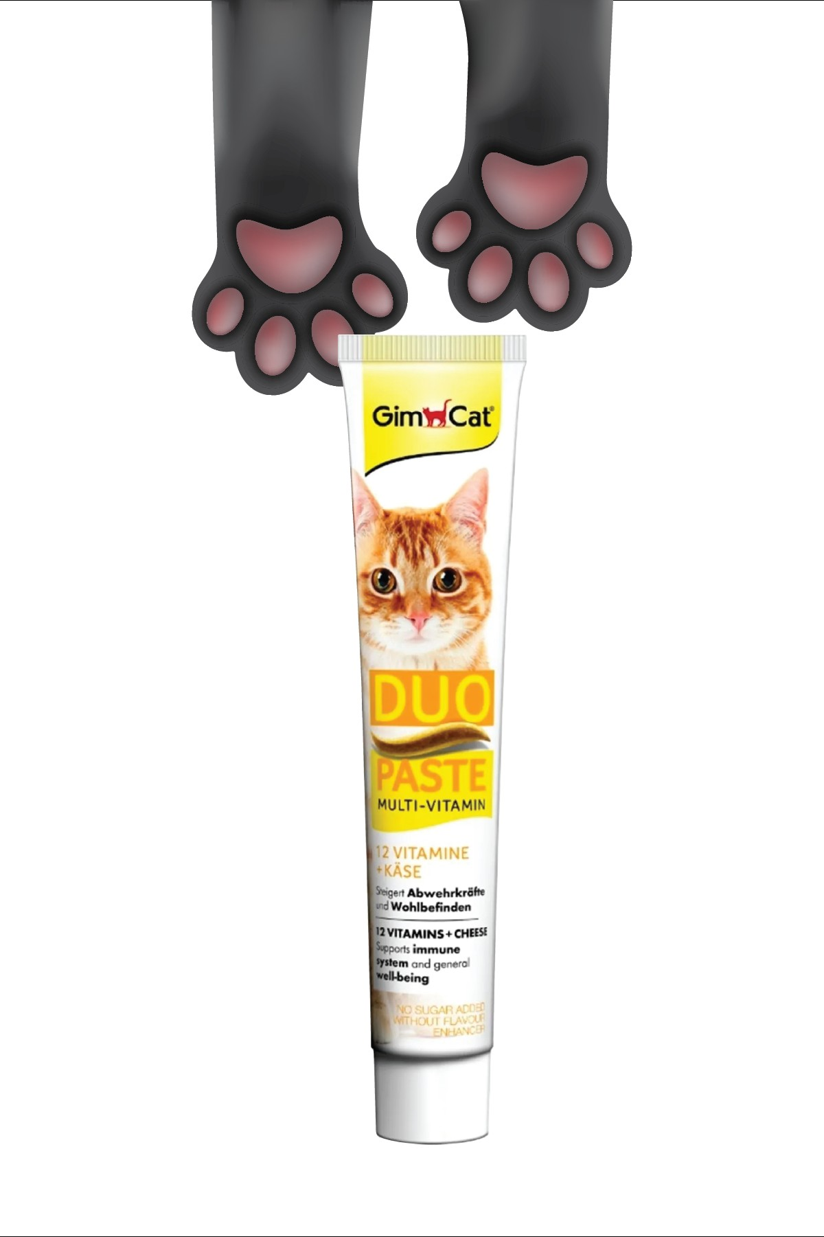 GimCat Multi-Vitamin Duo Paste Peynır 12 Vitamin Kedi Macunu 50gr