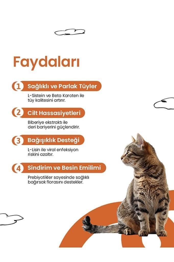 Live Pet Kediler İçin Sağlıklı Deri ve Tüy Tableti