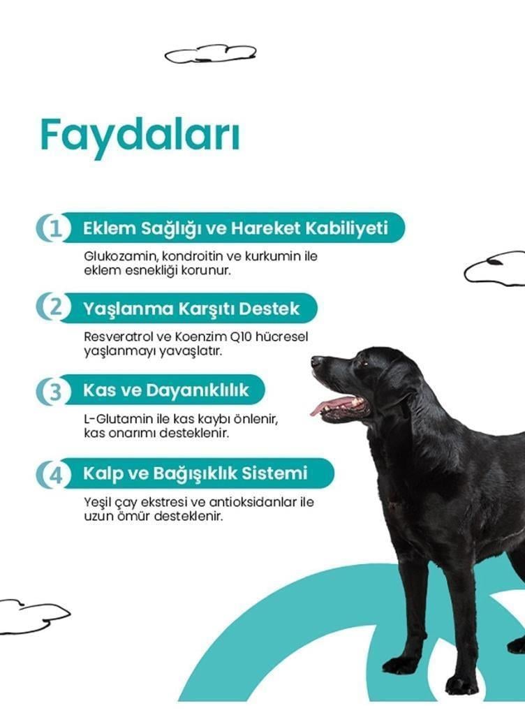 Live Pet Köpekler İçin Eklem Sağlığı ve Longevity Tableti