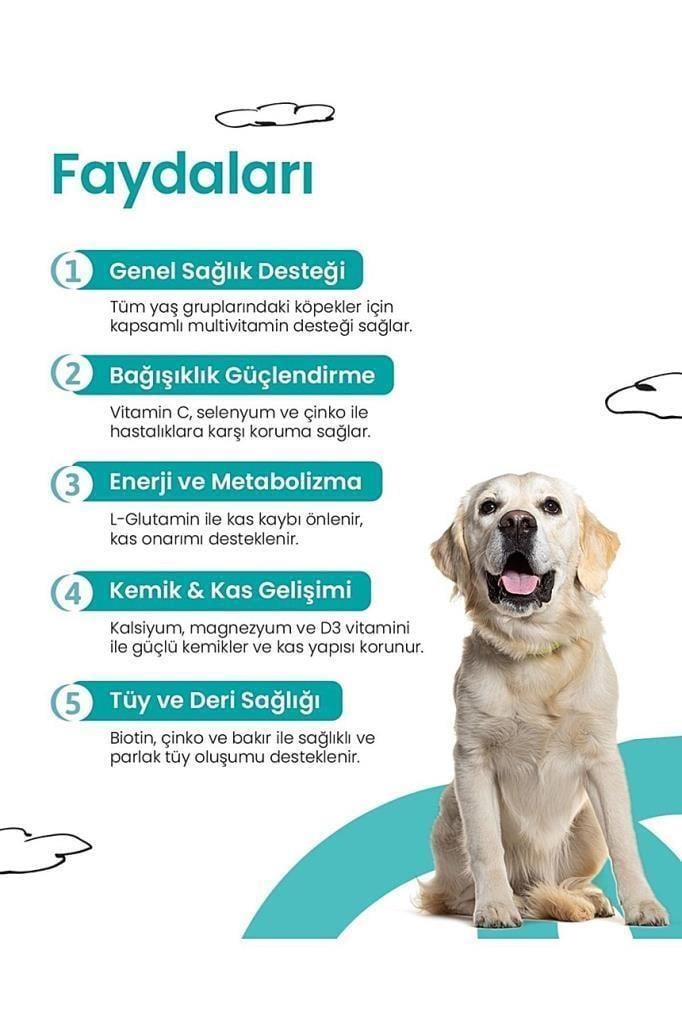 Live Pet Köpekler İçin Multivitamin