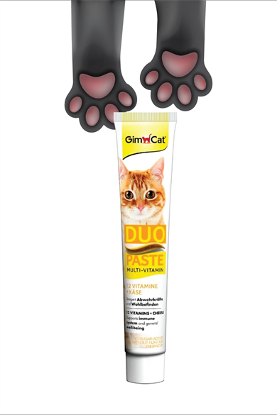 GimCat Multi-Vitamin Duo Paste Peynır 12 Vitamin Kedi Macunu 50gr