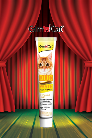 GimCat Multi-Vitamin Duo Paste Peynır 12 Vitamin Kedi Macunu 50gr