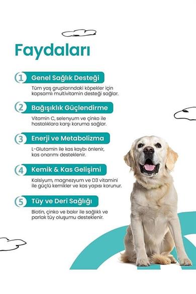 Live Pet Köpekler İçin Multivitamin