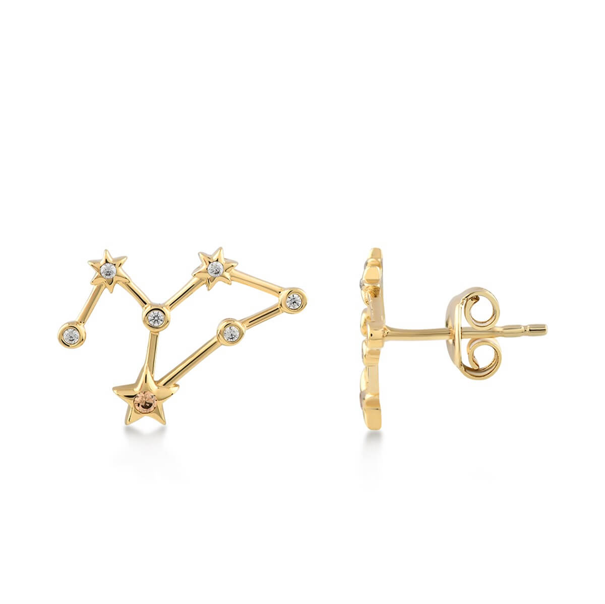 Aslan Burcu Gümüş Küpe