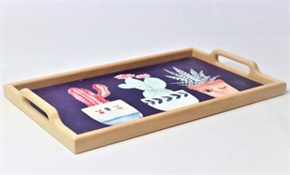 ZM SERVİS TEPSİ 45X25,5 MİX