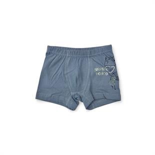 DONELLA 7571PB12 BOXER JURASSİC PERİOD ERK.8-9