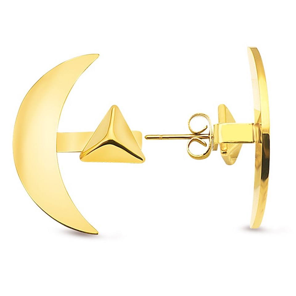 Welch Gold Çelik Ay Küpe