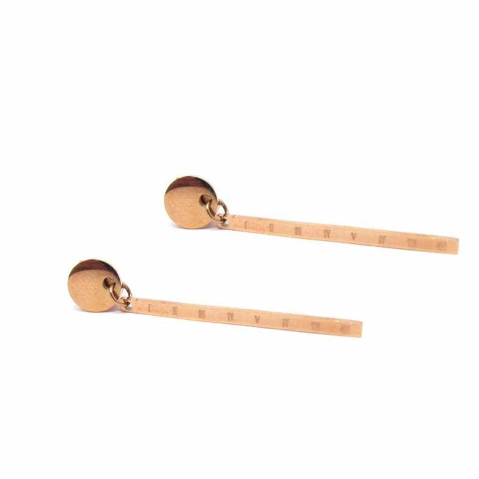 Welch Kadın Çelik Küpe