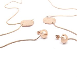 ​​​​​​​​​​​​​​​​​​​ Welch Çelik Rose Küpeli Dekolte Kolyesi