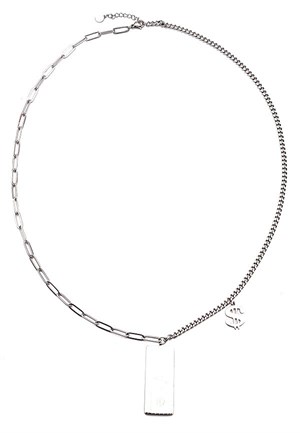 ​​Welch Çelik USD Dolar Kolye