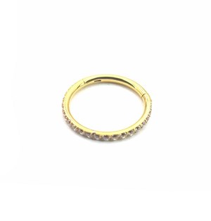 ​​​​​​​​Welch Titanium Stone Hoop Nose Stud Piercing