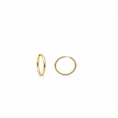 ​​​​​​​​​​​​​​Welch Gold Kaplama Çelik Büyük Halka Küpe  Kadın Çelik Küpe Modelleri ve Çelik Küpe Fiyatları - WELCH 