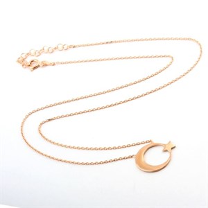Welch 925 Sterling Silver Moon Star Rose Silver Necklace