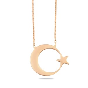 Welch 925 Sterling Silver Moon Star Rose Silver Necklace