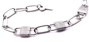 Welch Çelik Asma Kilit Bileklik