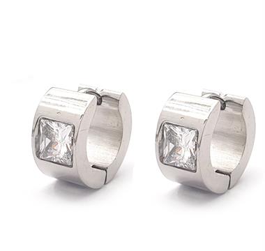 Welch Çelik Halka Küpe