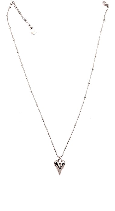 Welch Çelik Kalpli Kolye