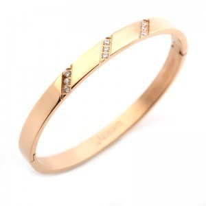 Welch Rose Taşlı Kadın Çelik Bileklik