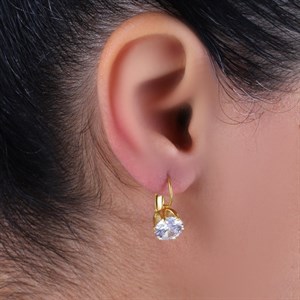 Welch Taşlı Kadın Çelik Küpe