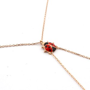 Welch Ladybug Silver Sahmeran