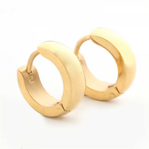 Welch Gold Hoop Steel Earrings