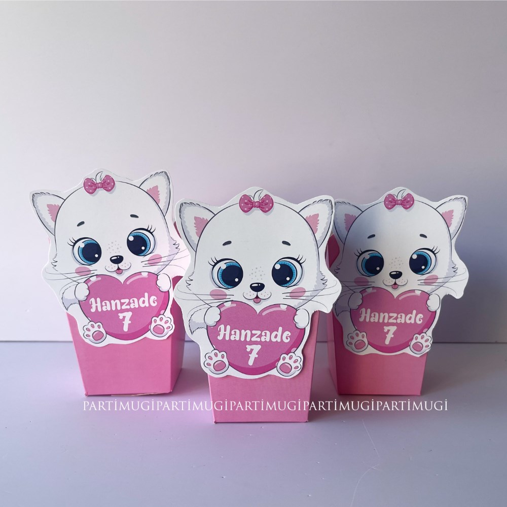 Kedi Temalı Popcorn Kutusu