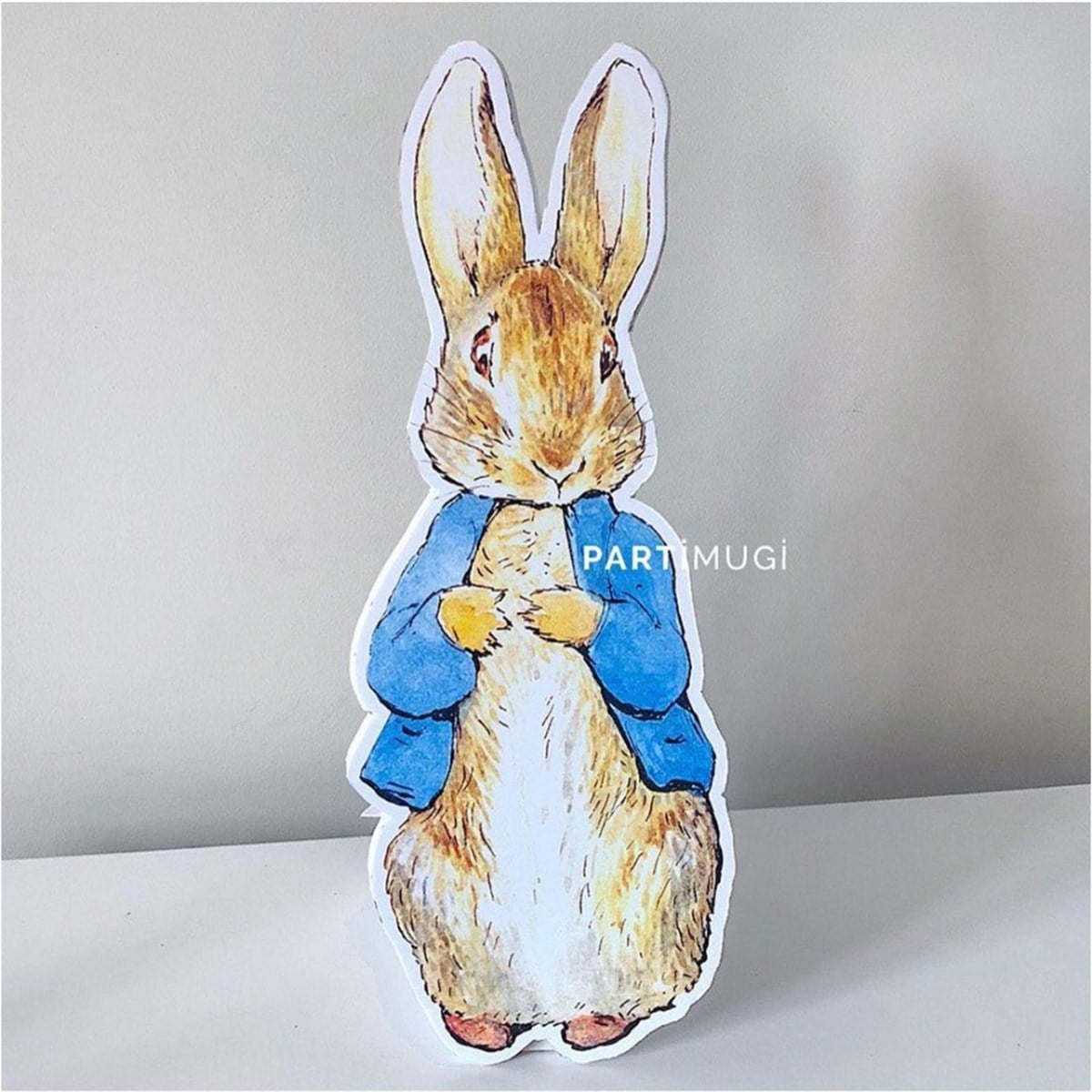 Peter Rabbit Temalı Ayaklı Pano