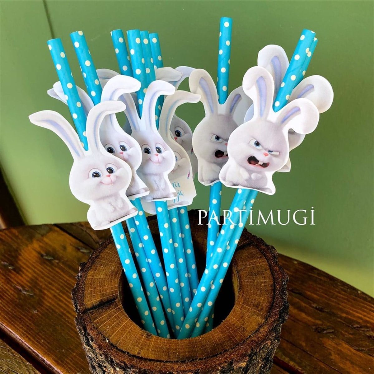 Snowy Rabbit Temalı Pipet