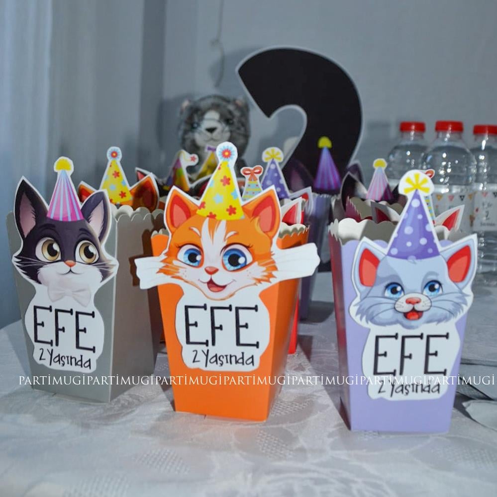 Kedi Partisi Temalı Popcorn Kutusu