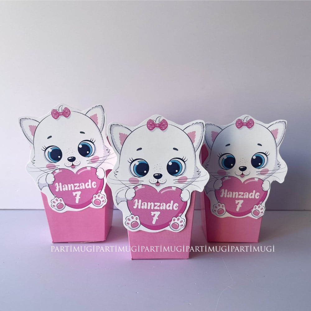 Kedi Temalı Popcorn Kutusu