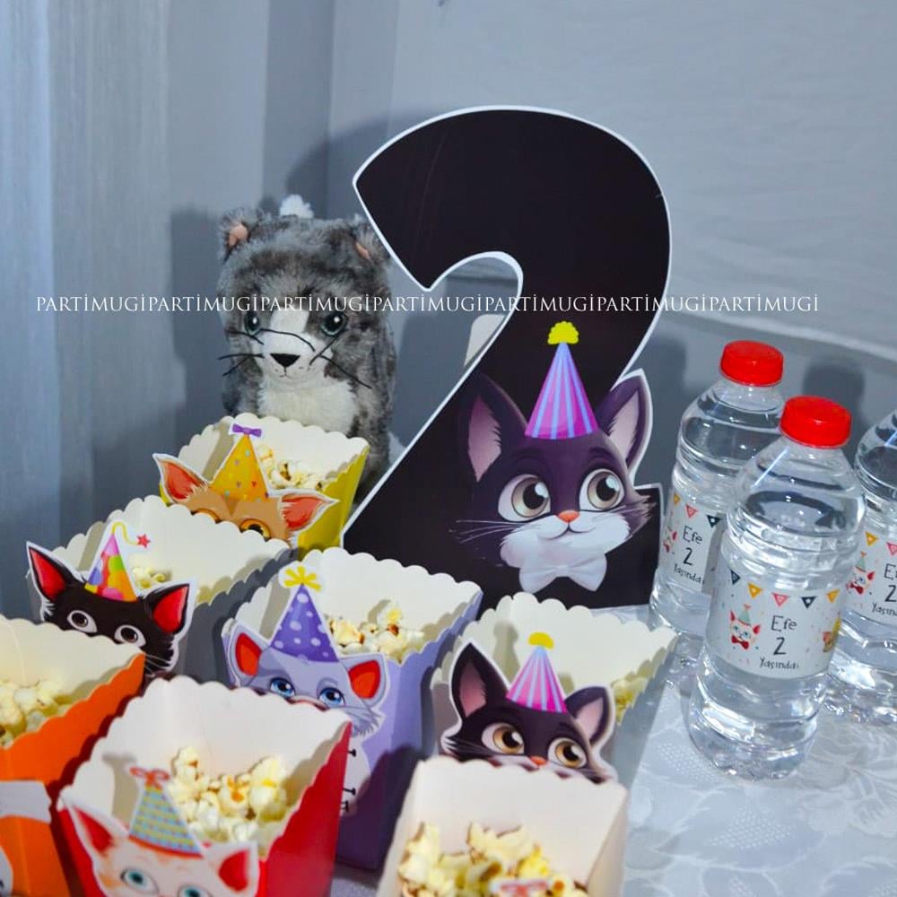 Kedi Temalı Rakam Maket