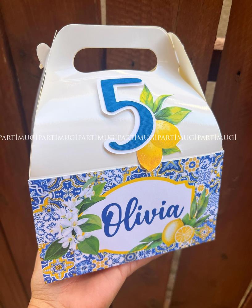Limon Temalı Kutu Hediye Çantası