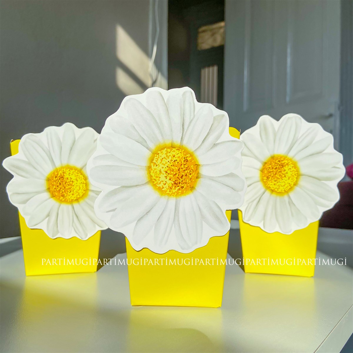 Papatya Temalı Popcorn Kutusu