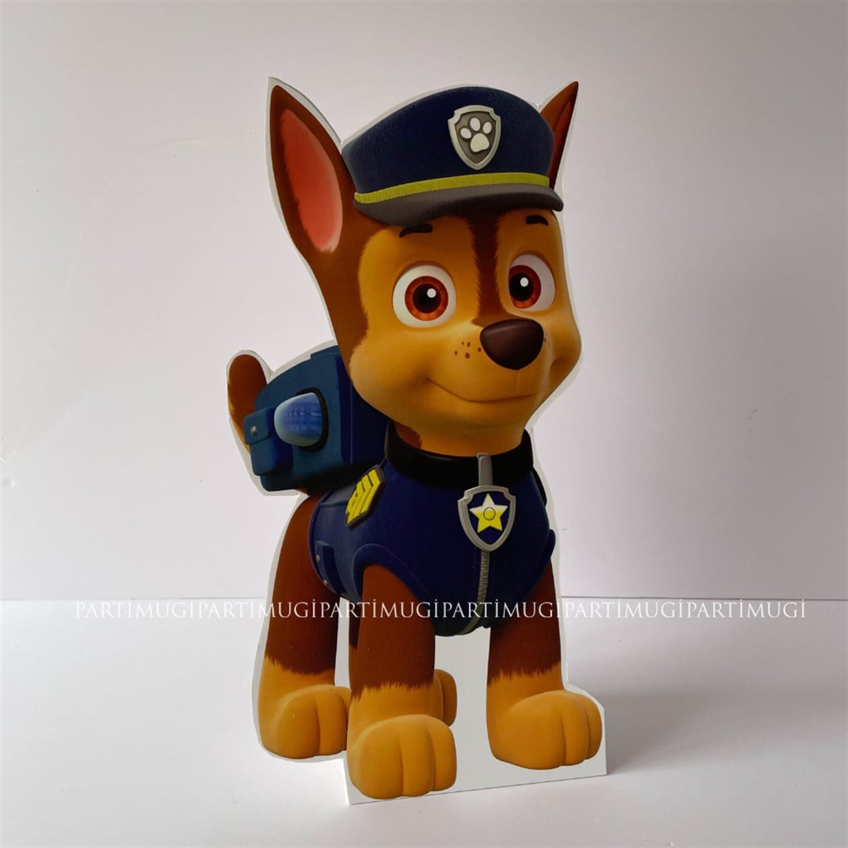 Paw Patrol Ayaklı Pano