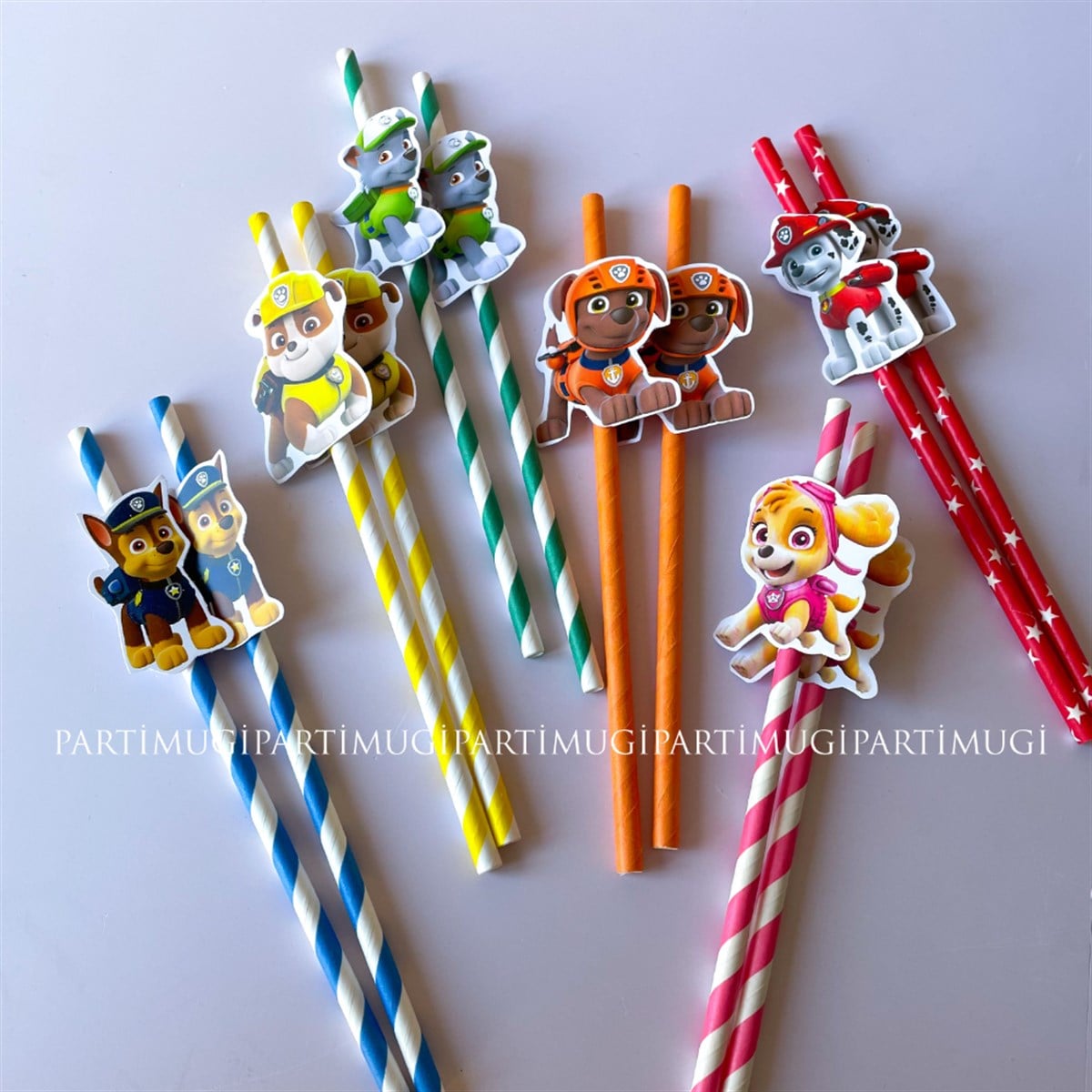 Paw Patrol Temalı Pipet